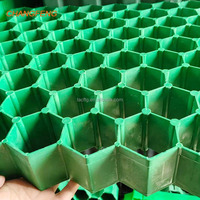 Grille de pavage en nid d'abeille HDPE Changfeng pour allées, aménagement paysager et drainage
