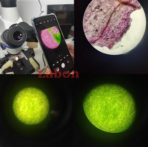 Microscopio Binocular Digital Olympus CX33, Microscopio Trinocular con Pantalla HD de 9 Pulgadas para Clínica/Hospital - Product Image 6