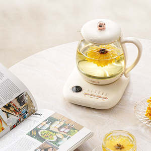 Bollitore Elettrico Multifunzione Scaldabiberon e Conservatore per <span class=keywords><strong>Tè</strong></span>/Caffè in Vetro con Termostato 220V - Product Image 3