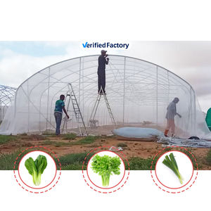 Serre tunnel à simple portée, grande taille, en acier galvanisé à chaud, avec film plastique de protection contre les insectes, pour l'ombrage des légumes - Product Image 4