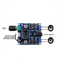 Carte d'amplificateur de puissance numérique Merrillchip TPA3118D2 DAC38RF84IAAV, version HD, sortie audio 45W * 2 pour MCU