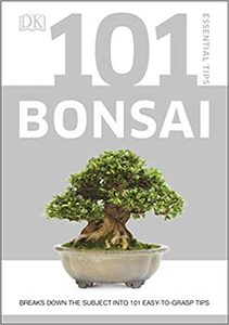 Venta al por mayor Bonsai Tree Growing Kit Jade <span class=keywords><strong>Crassula</strong></span> Tilly 20cm para jardín - Product Image 2