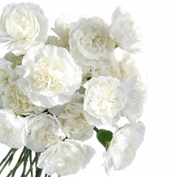 Fleurs en soie artisanales de qualité supérieure, design moderne à 3 têtes, pour la fête des mères, Pâques, Noël, décoration de la maison