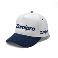 Gorra de Béisbol de 5 Paneles con Logotipo Personalizado, Gorra de Dos Tonos con Visera Curva, Gorras Deportivas Bordadas Lisas al por Mayor para Hombres, Golf y Actividades al Aire Libre