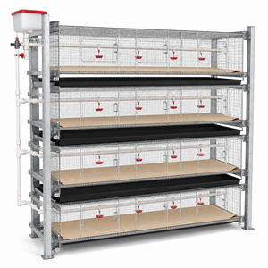 Cages d'élevage de poulets de type H pour la ponte des poules pondeuses, fabriquées par des professionnels, à <span class=keywords><strong>vendre</strong></span> - Product Image 1