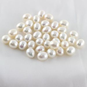 ไข่มุกอะโกย่าธรรมชาติจากน้ำทะเล ขนาด 8-9 มม. สีขาวจูจิ ไม่มีการจับคู่สี แท้ หลายสี แสงสว่างดี รูปทรงกลมสมบูรณ์แบบ ใกล้เคียงกับไร้ตำหนิ - Product Image 1