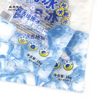 1kg Sac en plastique pour glaçons Pochette à fermeture éclair pour glaçons en plastique transparent