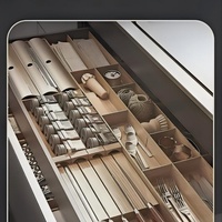 Solutions de rangement polyvalentes pour les armoires de cuisine modernes de luxe italiennes haut de gamme