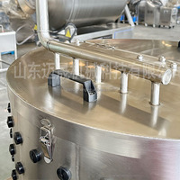 Promotion Machine à Plumer les Poulets en Acier Inoxydable, Plumeuse Volaille pour Cailles et Pigeons, en Vente