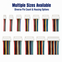Câble personnalisé XPB JST XH, pas de 1,0, 2,0, 2,54 mm, connecteur 2, 3, 4, 5, 6, 7, 8, 9, 10 broches, mâle/femelle, faisceau de câblage Zh, Ph, XH, Molex, JST