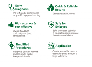 Rapid Bovine <strong>Pregnancy</strong> <strong>Test</strong> Kit Early Detection Cattle Cow PAG Whole Blood Strip Card New Condition - Product Image 2