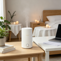 Nouvel humidificateur multifonctionnel 4L, purificateur d'air antibactérien, diffuseur de brume aromathérapeutique, pour la maison et l'hôtel