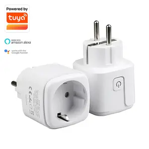 Kehidupan Cerdas Google Home Alexa Tuya APP Remote Control EU 16A Amp Nirkabel Mini EU Daya Wifi Smart Plug Enclosure Oem