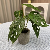 Grand palmier bonsaï artificiel vert durable pour la décoration intérieure/extérieure de la maison et du bureau, en herbe artificielle avec matériau en soie dans un pot en plastique