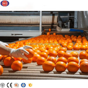 Ligne <span class=keywords><strong>de</strong></span> production automatique <span class=keywords><strong>de</strong></span> <span class=keywords><strong>jus</strong></span> <span class=keywords><strong>de</strong></span> fruits <span class=keywords><strong>pomme</strong></span> carton aseptique multifonctionnel - Product Image 1