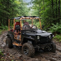 Prix d'usine, couleurs personnalisées, vente en gros, buggy tout-terrain à essence 300CC, mini-jeep, voiturette de golf, fabrication professionnelle, fournisseur robuste