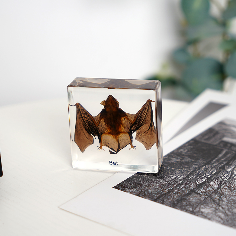 Новые обучающие материалы, высокопрозрачные безопасные полимерные поделки