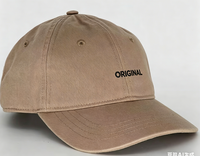 Origineel logo geborduurd fruit argyle patroon 100% katoen universele unisex verstelbare casual dad baseball pet