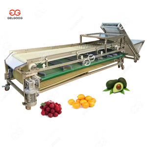 Máquina Clasificadora <span class=keywords><strong>de</strong></span> Kumquat/Aguacate/Fresa/<span class=keywords><strong>Carambole</strong></span> - Product Image 1