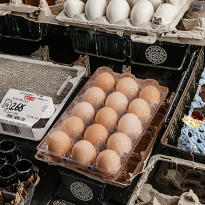 Récipient d'affichage de plateau à 15 oeufs respectueux de l'environnement Matériau PET recyclé sécurisé pour la ferme de <span class=keywords><strong>pâturage</strong></span> familial et l'industrie alimentaire à usage industriel - Product Image 3