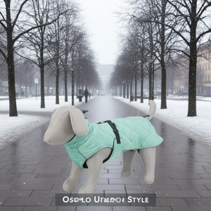 Abrigo para Perro Estilo Urbano Oslo, Talla S 40 cm, Color Jade, Ropa Impermeable para Mascotas - Product Image 3