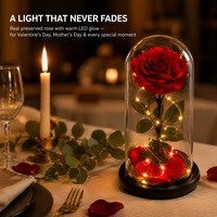 Rose éternelle préservée en dôme de verre, coffret cadeau de rose véritable pour la Saint-Valentin, anniversaire