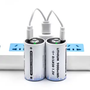 Bateria recarregável USB D 1.5V Tipo C Porta de Carregamento Baterias de Carga Rápida USB