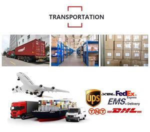 創造的なステンレス鋼ナイトワインカップレジンアーマー手作りバーパーティーゴブレット - Product Image 4