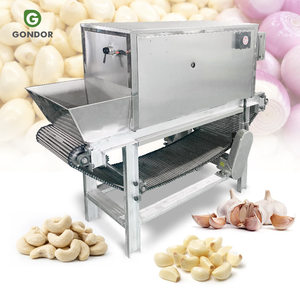 Équipement commercial électrique professionnel de pelage en chaîne pour ail, fruits et oignons, avec vidéo pour l'ail - Product Image 1