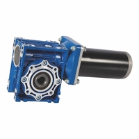 Motor de engranaje helicoidal de ángulo recto de CC de imán permanente NMRV30/63ZY125 de 24 V con alto par