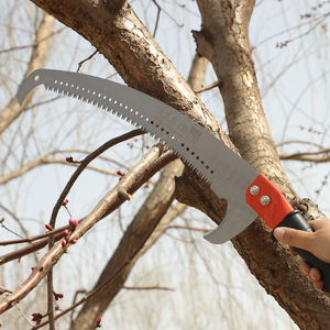 Fabricant de gros ciseaux télescopiques haut de gamme en acier au carbone ciseaux d'élagage de jardin ciseaux de fruits <span class=keywords><strong>litchi</strong></span> - Product Image 6