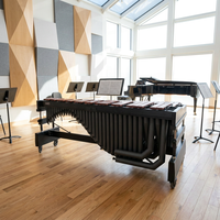 Artist Series Professional Marimba 5 Octaves with Perfect Sound Quality for Symphony