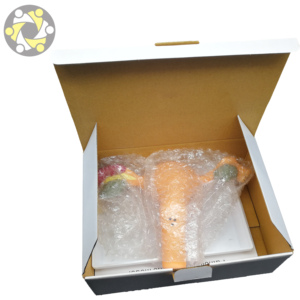 แบบจำลองกายวิภาคศาสตร์ของเนื้องอกมดลูกในผู้หญิง แบบจำลองกายวิภาคศาสตร์ของมดลูก - Product Image 6