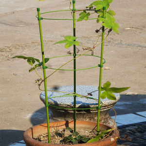 Haute qualité <span class=keywords><strong>pas</strong></span> <span class=keywords><strong>cher</strong></span> métal jardin piquets <span class=keywords><strong>plante</strong></span> piquet <span class=keywords><strong>Support</strong></span> anneau treillis <span class=keywords><strong>plante</strong></span> escalade <span class=keywords><strong>support</strong></span> - Product Image 2