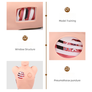 แบบจำลองฝึกหัดการเจาะและระบายน้ำในช่องท้องทรวงอกขั้นสูง - เครื่องจำลองภาวะเลือดและอากาศอุดตันในทรวงอกสำหรับการฝึกอบรมฉุกเฉินทางการแพทย์ - Product Image 3