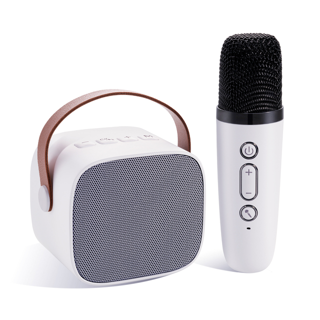 Multifunctional Display Karaoke Speaker With Reverberation Sound Effect Durable ABS Material Separate Battery Design