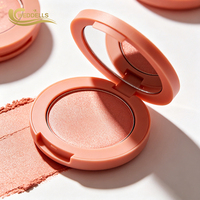 Palette de fards à joues multi-tons avec des couleurs mates et scintillantes pour un maquillage professionnel, OEM ODM en gros
