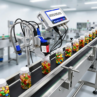 Haute vitesse continue en ligne Tij imprimante Portable Logo Machine d'impression bande transporteuse pour bouteille en verre Pcb petite entreprise