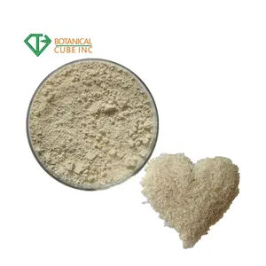 Psyllium भूसी निर्यात के साथ अनुकूल कीमत और psyllium भूसी पाउडर