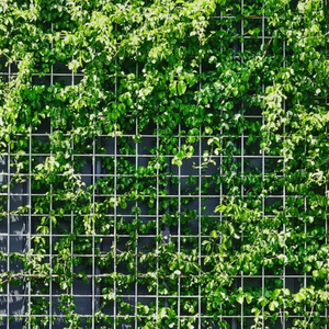 Nhà Sản Xuất Của 1/2 "Thép Không Gỉ Mạ Kẽm Dây Lưới Lưới Cuộn 6Mm Vuông Khẩu Độ Dệt Phần Cứng Vải Sắt Dây Lưới - Product Image 2