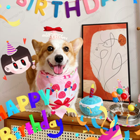 Jouets pour chien de grande taille, gâteau d'anniversaire, jouet en peluche pour chien en forme d'os, jouet qui couine, joyeux anniversaire