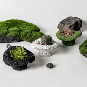 <b>Coconut</b> Wax Handmade Planter Porcelain Jar Simple Personality Creative Literary Green Plant Succulent Potted Indoor Christmas - Product Image 2