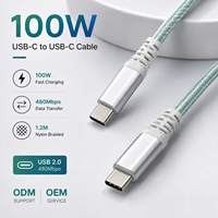 Câble Type C 100W 1,2M 5A PD Charge Rapide USB C vers USB C Embout Métallique USB 2.0 Câble de Données Tressé en Nylon OEM ODM Logo Personnalisé