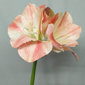 Z265 Hoa <span class=keywords><strong>Clivia</strong></span> Nhân Tạo Chất Lượng Cao Bán Chạy Hoa <span class=keywords><strong>Clivia</strong></span> Nhân Tạo Để Trang Trí Nhà Cửa Tiệc - Product Image 3