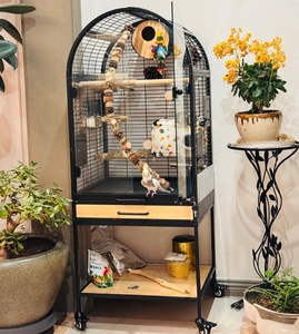<span class=keywords><strong>Cage</strong></span> à oiseaux en fer pour l'extérieur, grande <span class=keywords><strong>cage</strong></span> à perroquets, vente en gros, direct usine, suspendable 	 Cages pour animaux de compagnie - Product Image 3