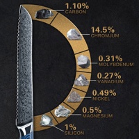 Blau G10 Griff 67 Schichten Küchenmesser-Set vg10 Damaszener Stahl zerspitzte Klinge Brotmesser kaufen für Restaurant
