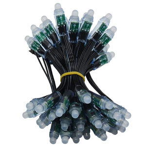 ไฟคริสต์มาสอัจฉริยะ Pixel LED WS2811 RGB IP68 กันน้ำ 48V DC โมดูล LED พร้อมการรับประกัน 10 ปี - Product Image 1