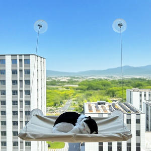 हॉट-सेलिंग इको-फ्रेंडली ऑल-सीज़न कैट के साथ सक्शन कप हटाने योग्य और धोने योग्य ठोस पैटर्न बिल्ली बिस्तर - Product Image 4