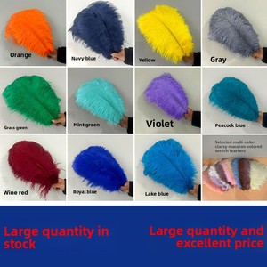 Grandes plumes d'autruche blanches de 10 à 80 cm, de haute qualité, teintes, pour décorations de carnaval, de fêtes, de Noël, de mariages et de centres de table. - Product Image 5