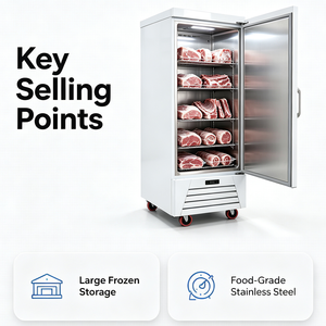 Réfrigérateur vertical commercial à porte simple robuste BLD1, construction en acier inoxydable de qualité alimentaire pour une durabilité exceptionnelle - Product Image 2